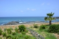 Marine Club